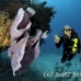sponge_vase_pink_pat_jar_h_0211_cub6347.jpg